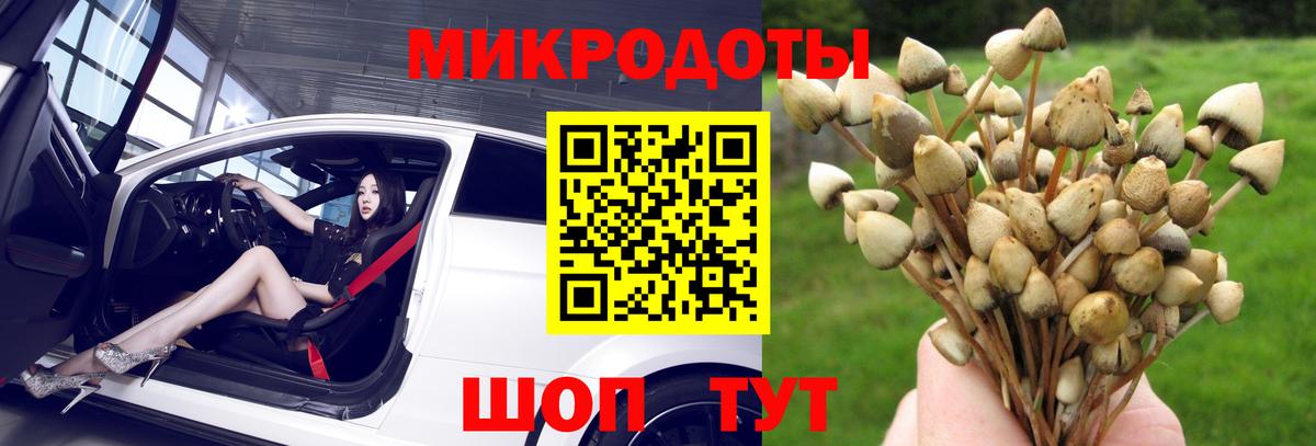 Псилоцибиновые грибы GOLDEN TEACHER Реутов