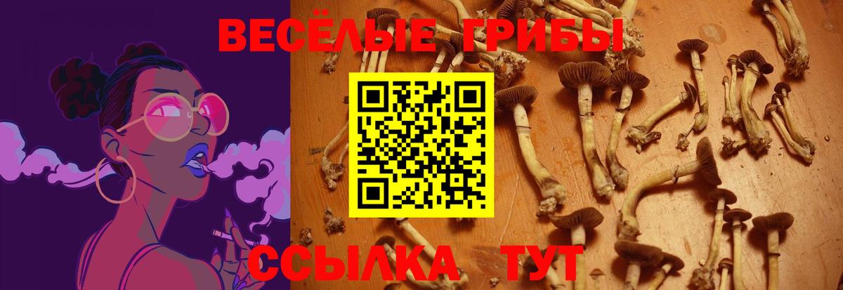 Галлюциногенные грибы мухоморы  Галлюциногенные грибы GOLDEN TEACHER  Реутов  Вход с VPN 